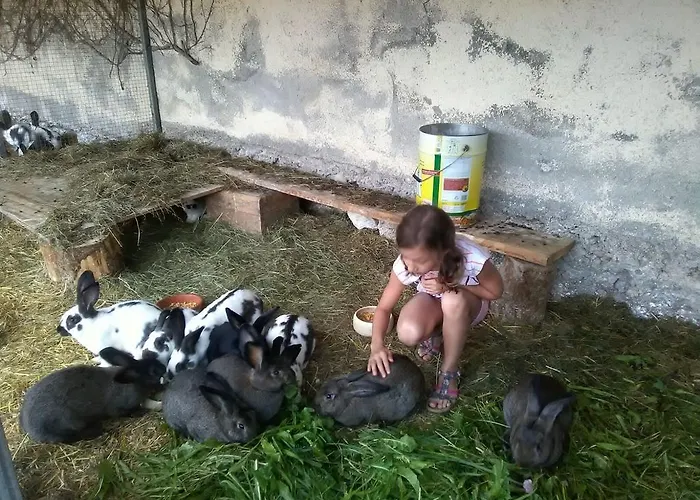 Attersee Gartenvilla 4*