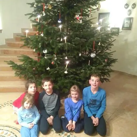 Attersee Gartenvilla Nussdorf am Attersee